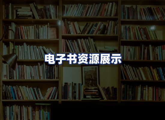电子书资源展示